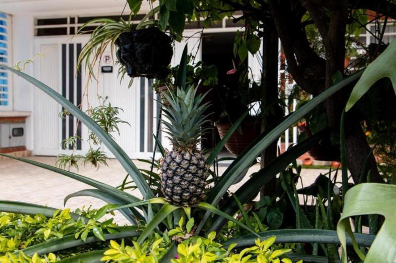 Hotel Hospedaje Caney "Descanso & Tradicion" Ayenda 1422 Кали Екстериор снимка